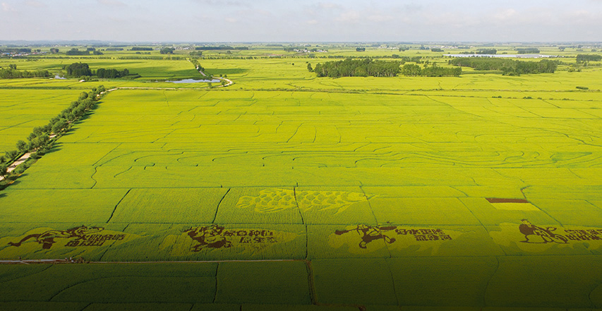 U乐·国际(中国)官方网站