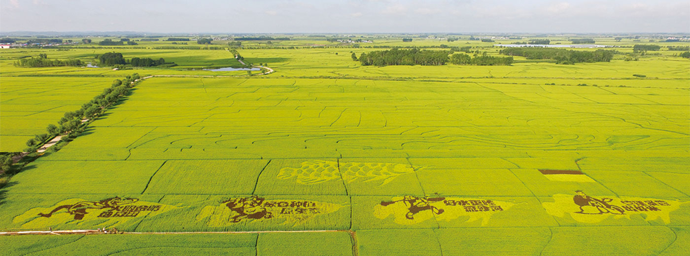 U乐·国际(中国)官方网站