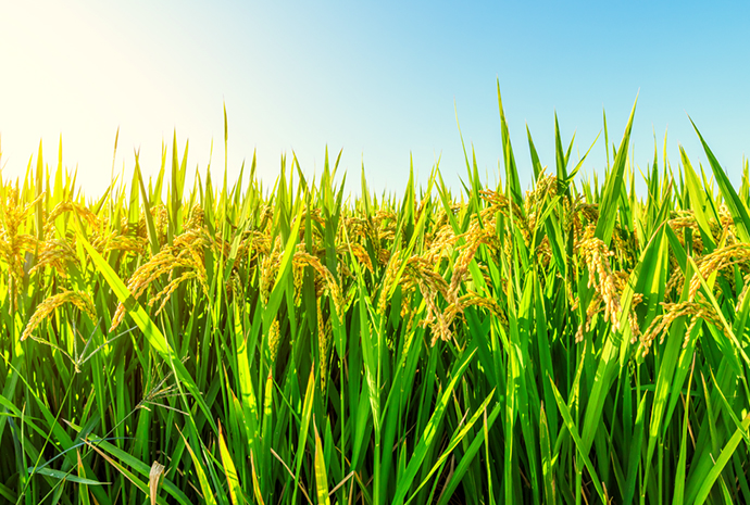 U乐·国际(中国)官方网站