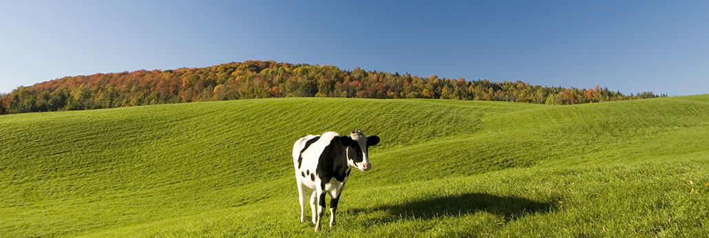 U乐·国际(中国)官方网站