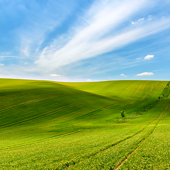 U乐·国际(中国)官方网站