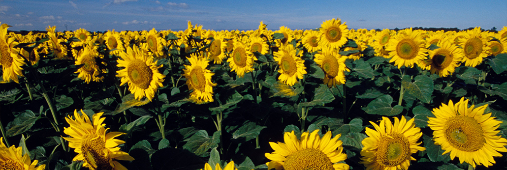 U乐·国际(中国)官方网站