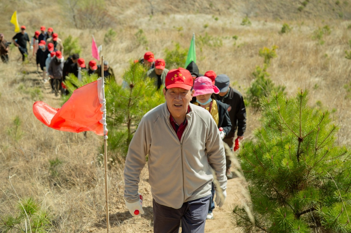 东风拂绿蔚州，14年坚守再添千株新松